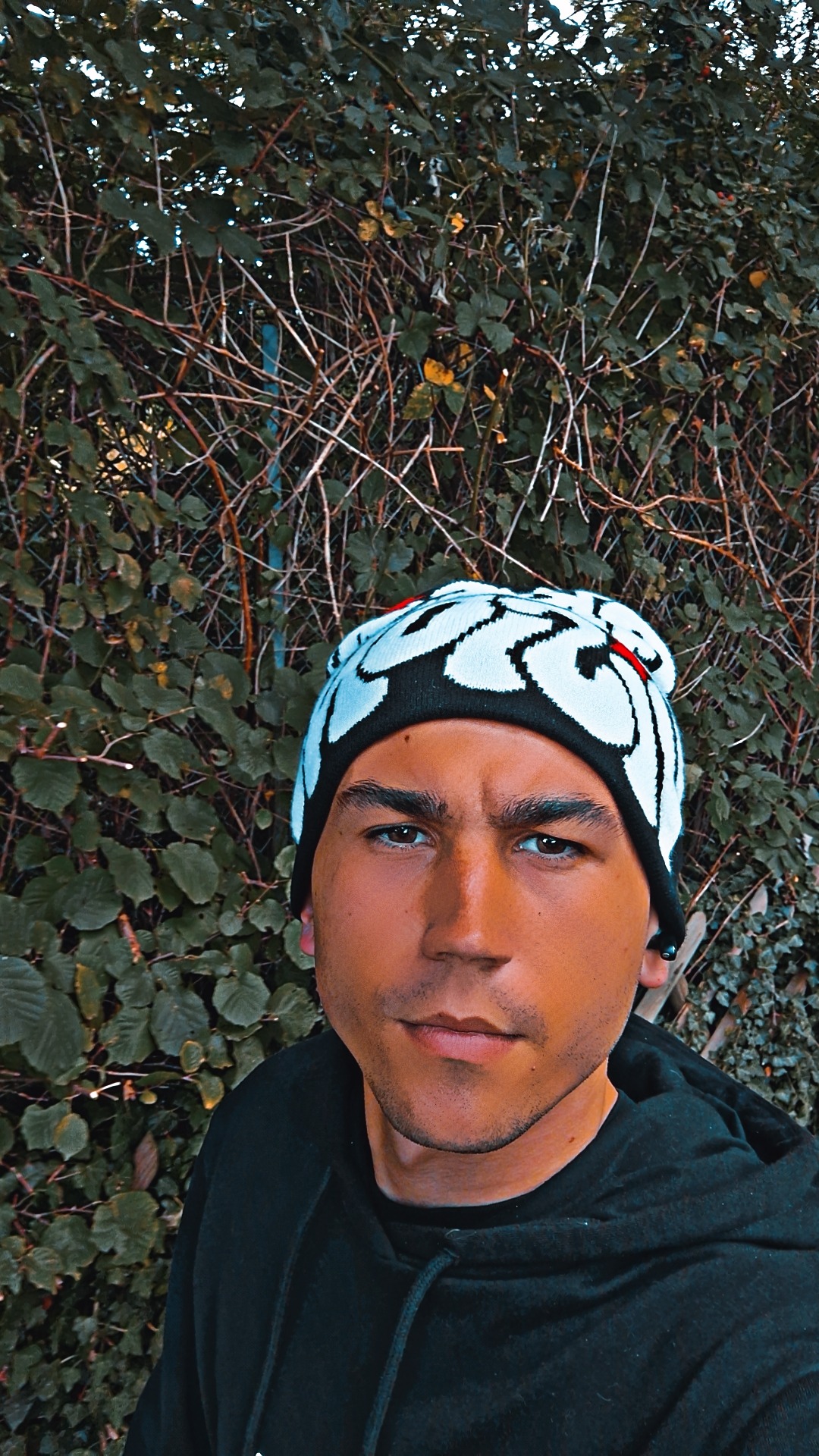 Profilo di Michel-yves