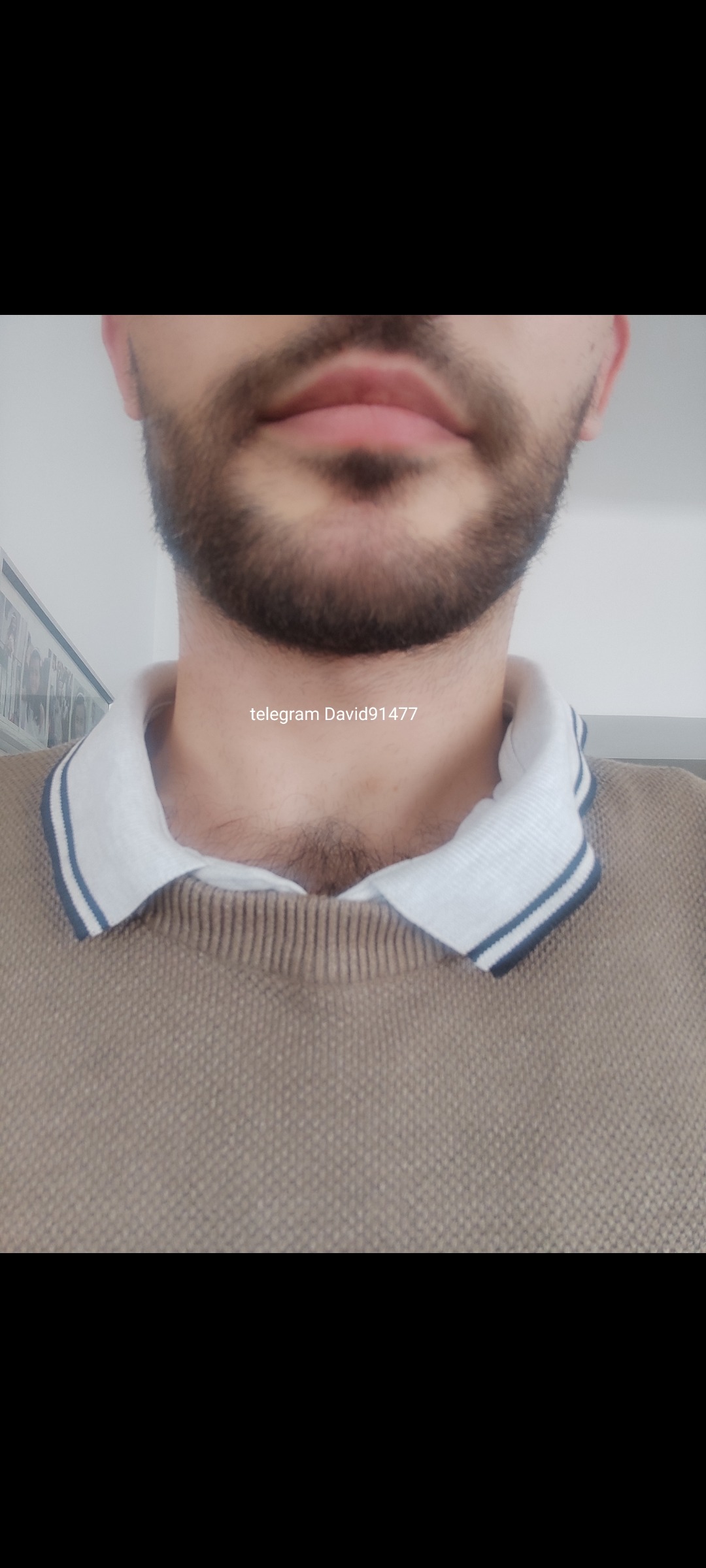 Profilo di Wenceslas