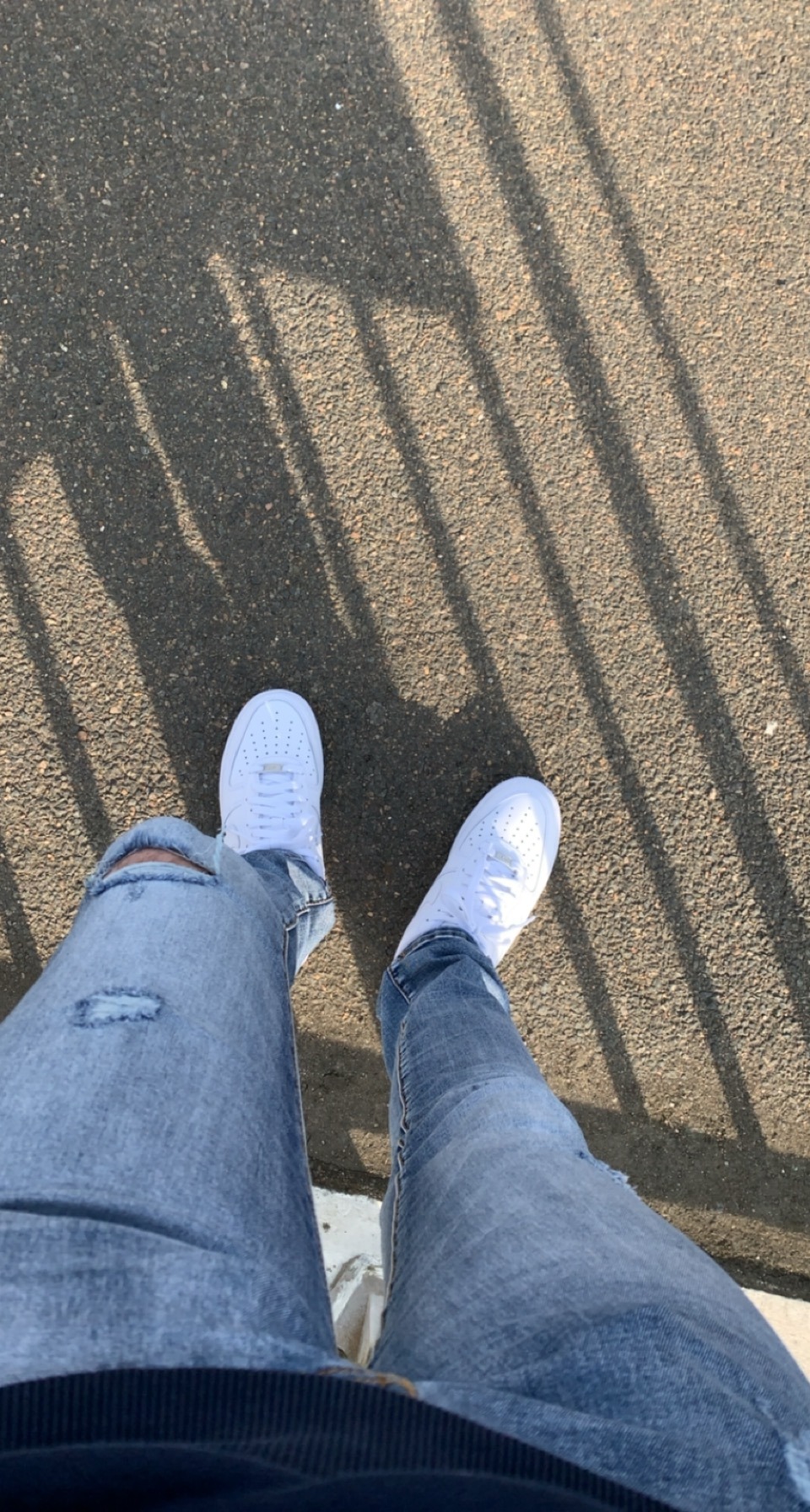 Profilo di Bartholome